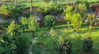 Prime Investment Property – Nandi Hills Road