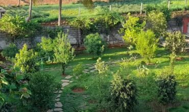 Prime Investment Property – Nandi Hills Road