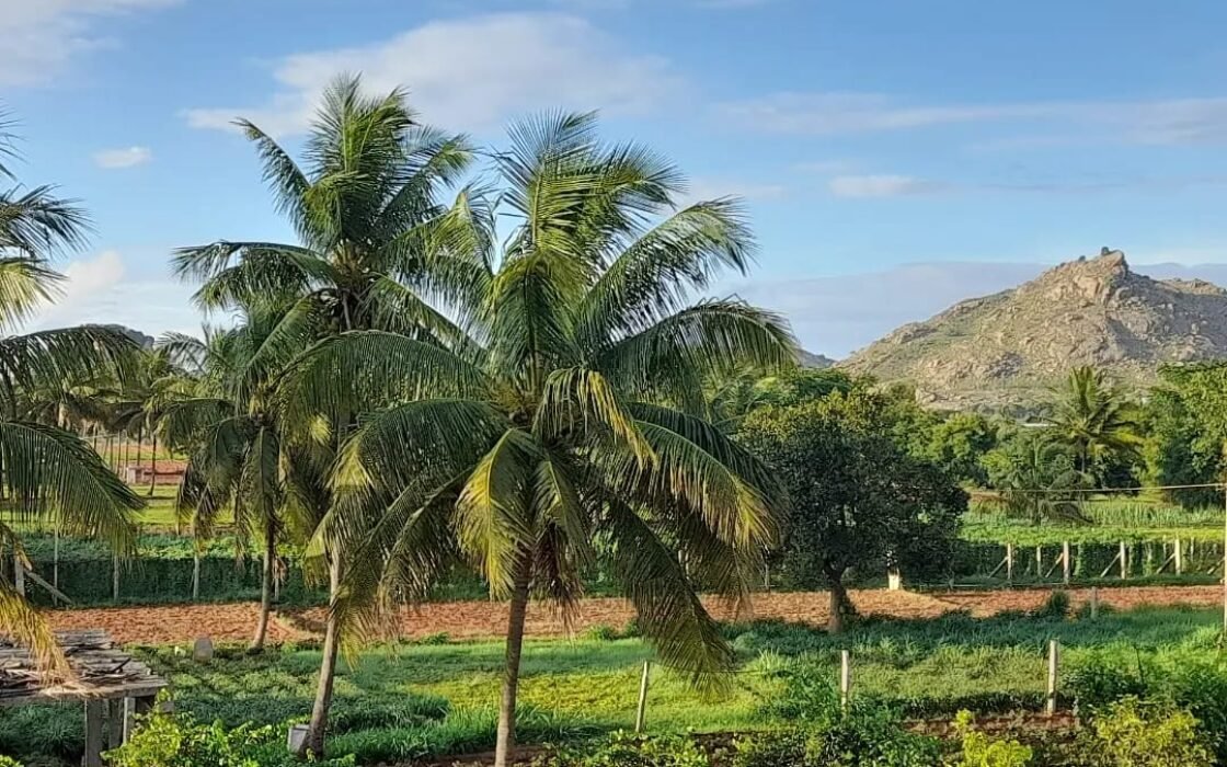 Prime Investment Property – Nandi Hills Road