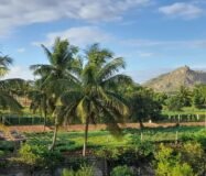 Prime Investment Property – Nandi Hills Road