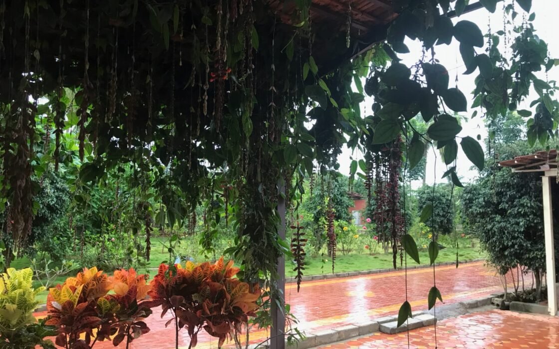 Prime Investment Property – Nandi Hills Road