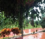 Prime Investment Property – Nandi Hills Road